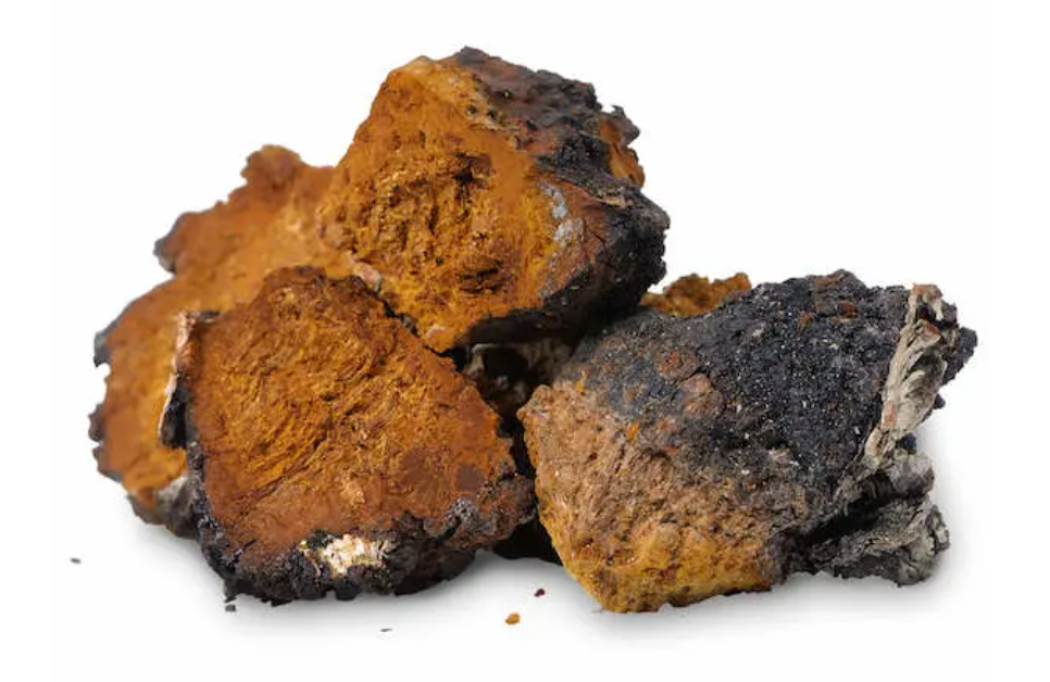 Chaga Mushrooms: 3 Benefits That Put The "Fun" In Functional Mushroom