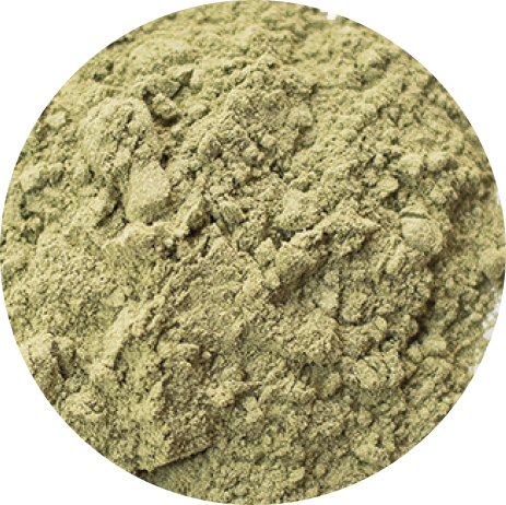 Alfalfa powder